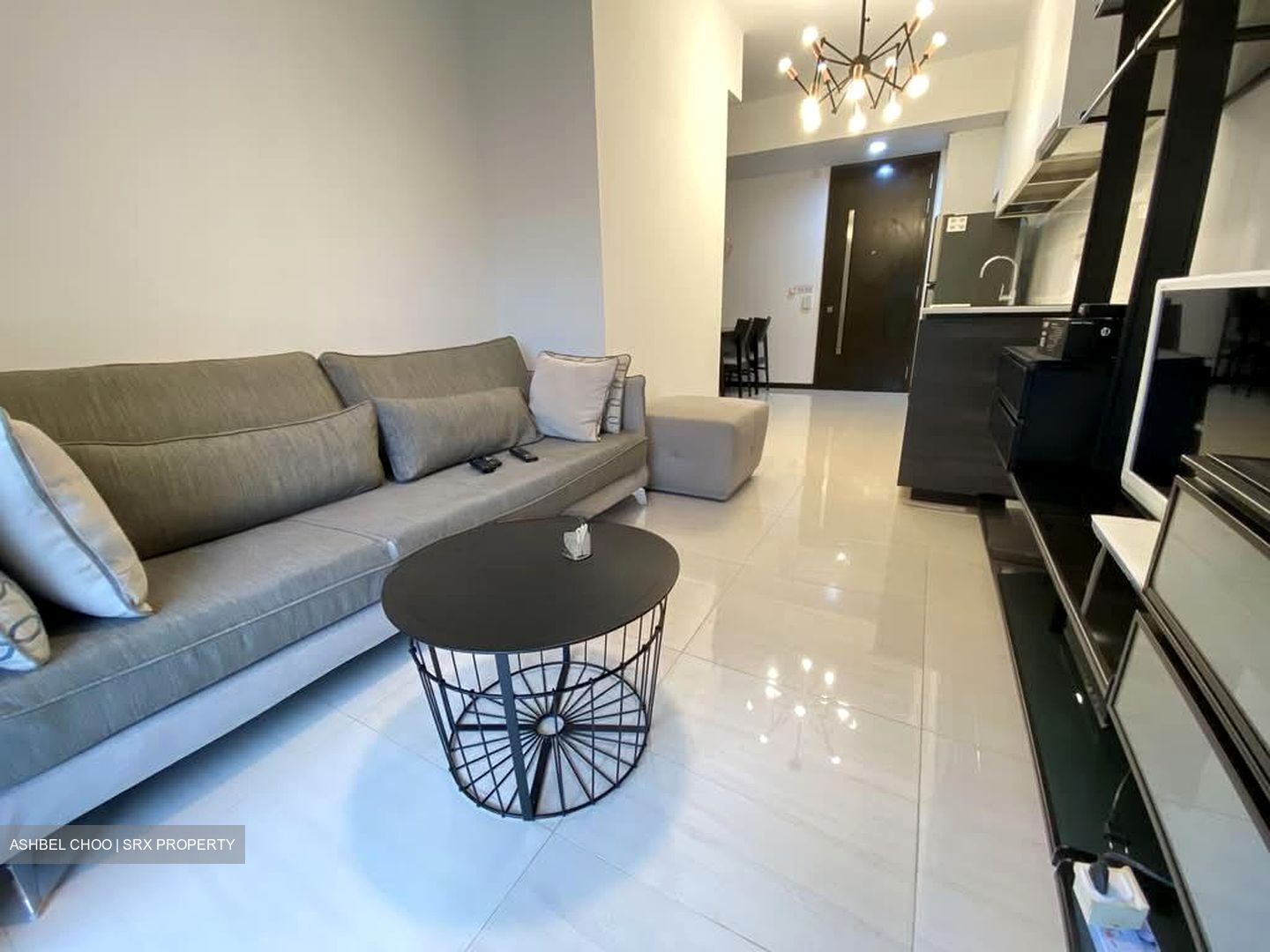 Sims Urban Oasis (D14), Condominium #573088161